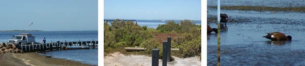 3-swan-bay Swan Bay