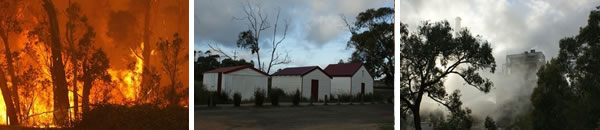 anglesea-banner anglesea-banner