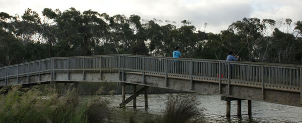 anglesea-bridge anglesea-bridge