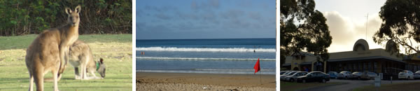 anglsea-highlights-banner anglsea-highlights-banner