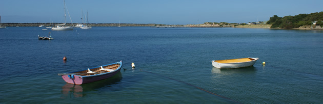 apollo-bay-fishing apollo-bay-fishing