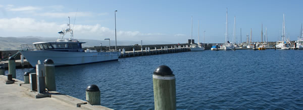 apollo-bay-harbor2