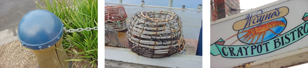 b_apollobay