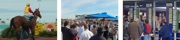 b_geelongcup b_geelongcup