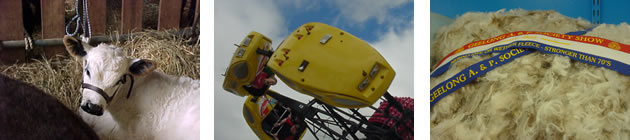 b_geelongshow b_geelongshow