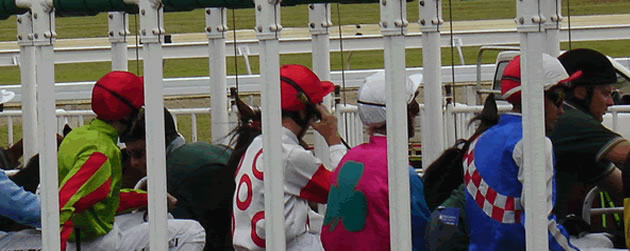 geelong-cup
