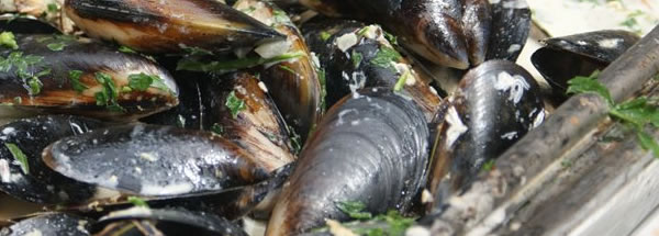 Portarlington Mussel Festival