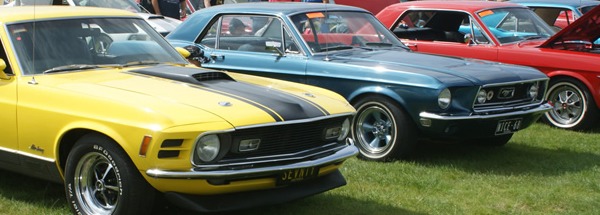 mustangs1