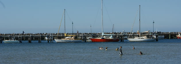 portarlington-harbor portarlington-harbor