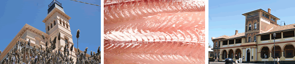 queenscliff-seafood queenscliff-seafood