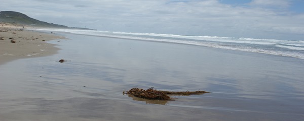 surfcoast surfcoast
