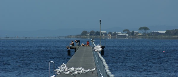 swan-bay Swan Bay