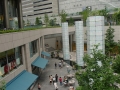 jap-DSC03198