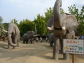 jap-DSC03005
