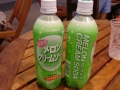 jap-DSC03147