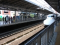 jap-DSC03180