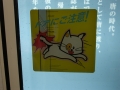 jap-DSC03183
