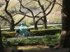 DSC07856.jpg