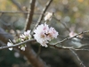 DSC07859.jpg