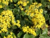 DSC07860.jpg