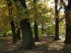 DSC07866.jpg