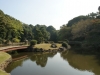 DSC07874.jpg