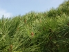 DSC07876.jpg