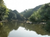 DSC07878.jpg