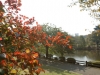 DSC07890.jpg