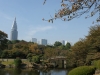 DSC07891.jpg