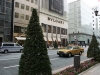 DSC07703.jpg