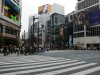 DSC07715.jpg