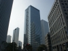 DSC08059.jpg