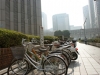 DSC08070.jpg