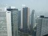 DSC08093.jpg