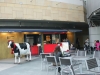 DSC08096.jpg