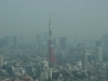 DSC08105.jpg