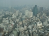 DSC08106.jpg