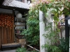 DSC08125.jpg