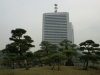 DSC08136.jpg