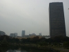 DSC08137.jpg