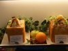 DSC08237.jpg