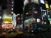 DSC08247.jpg