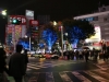 DSC08252.jpg