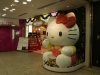 DSC08282.jpg