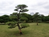 DSC08287.jpg