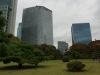 DSC08290.jpg