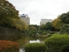 DSC08319.jpg
