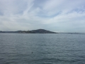 mussel-IMG_0192