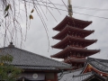 thumb_DSC09950_1024